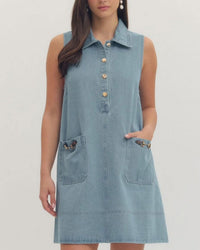 The Vineyard in the Fall Denim Dress