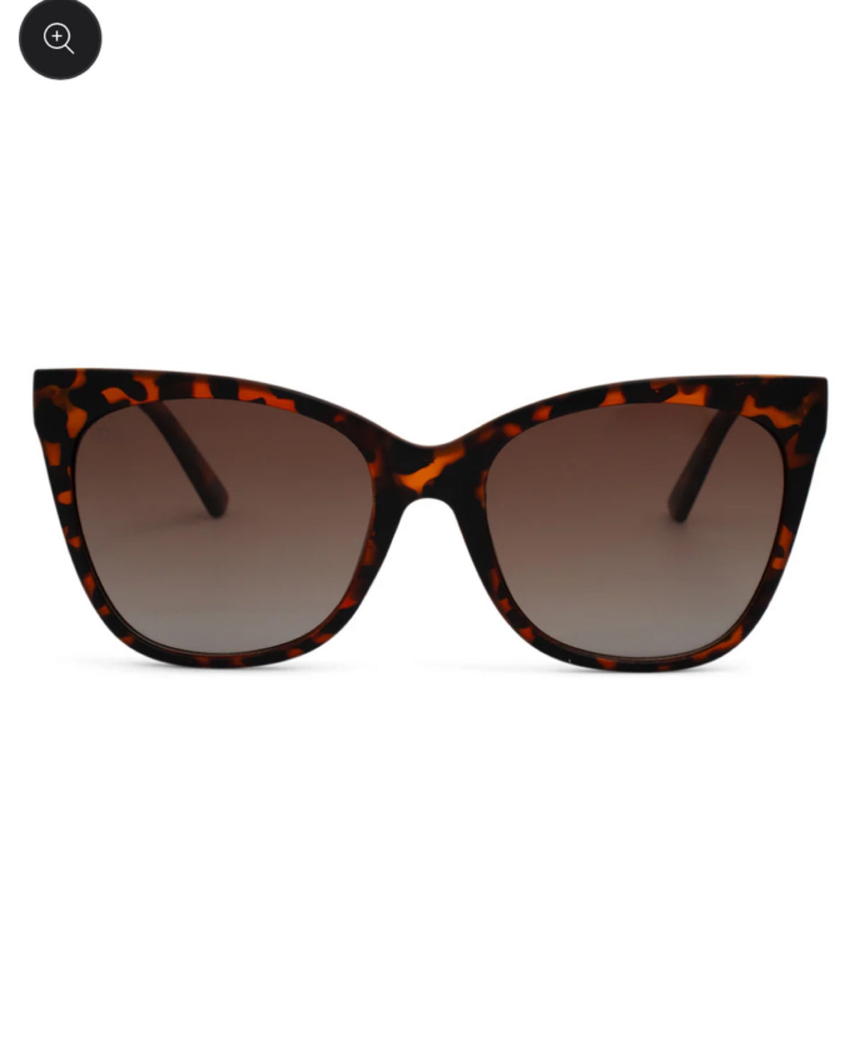Dax Eyewear