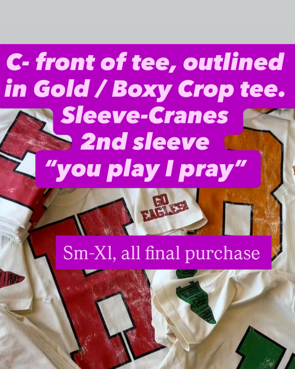Team tee. semi- cropped Boxy Style C Cranes (C - front, outlined in Gold