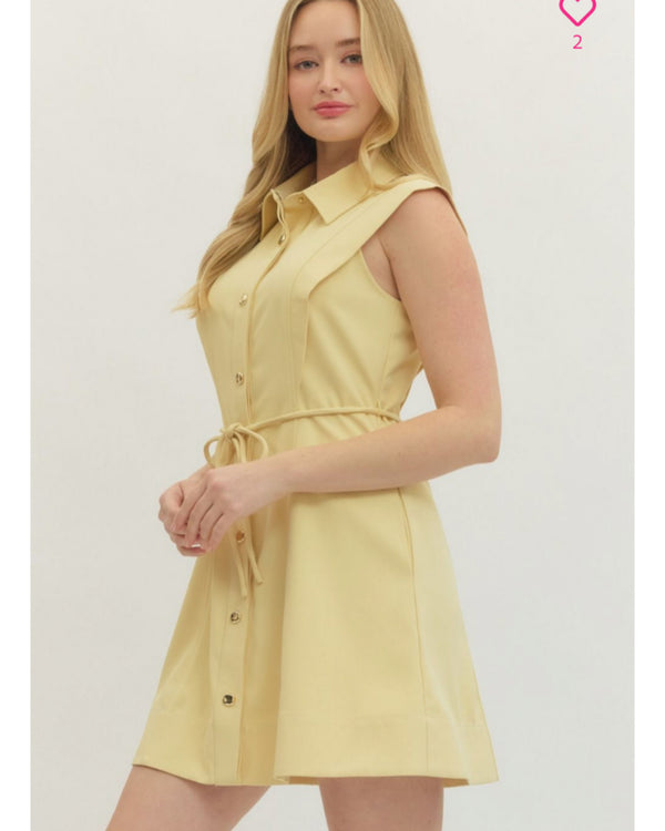Feminine Fresh Dress in Lemon