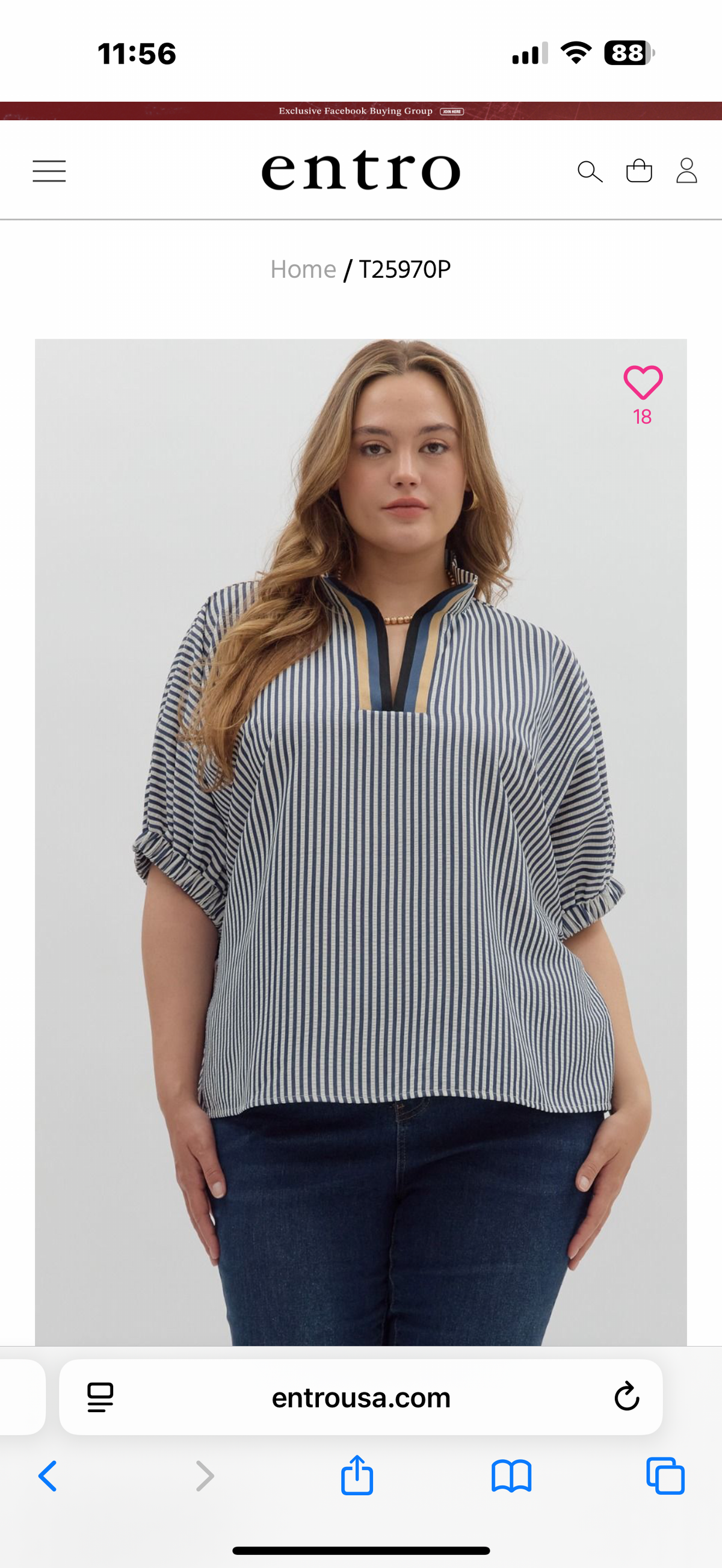 Brick Stripes in Plus