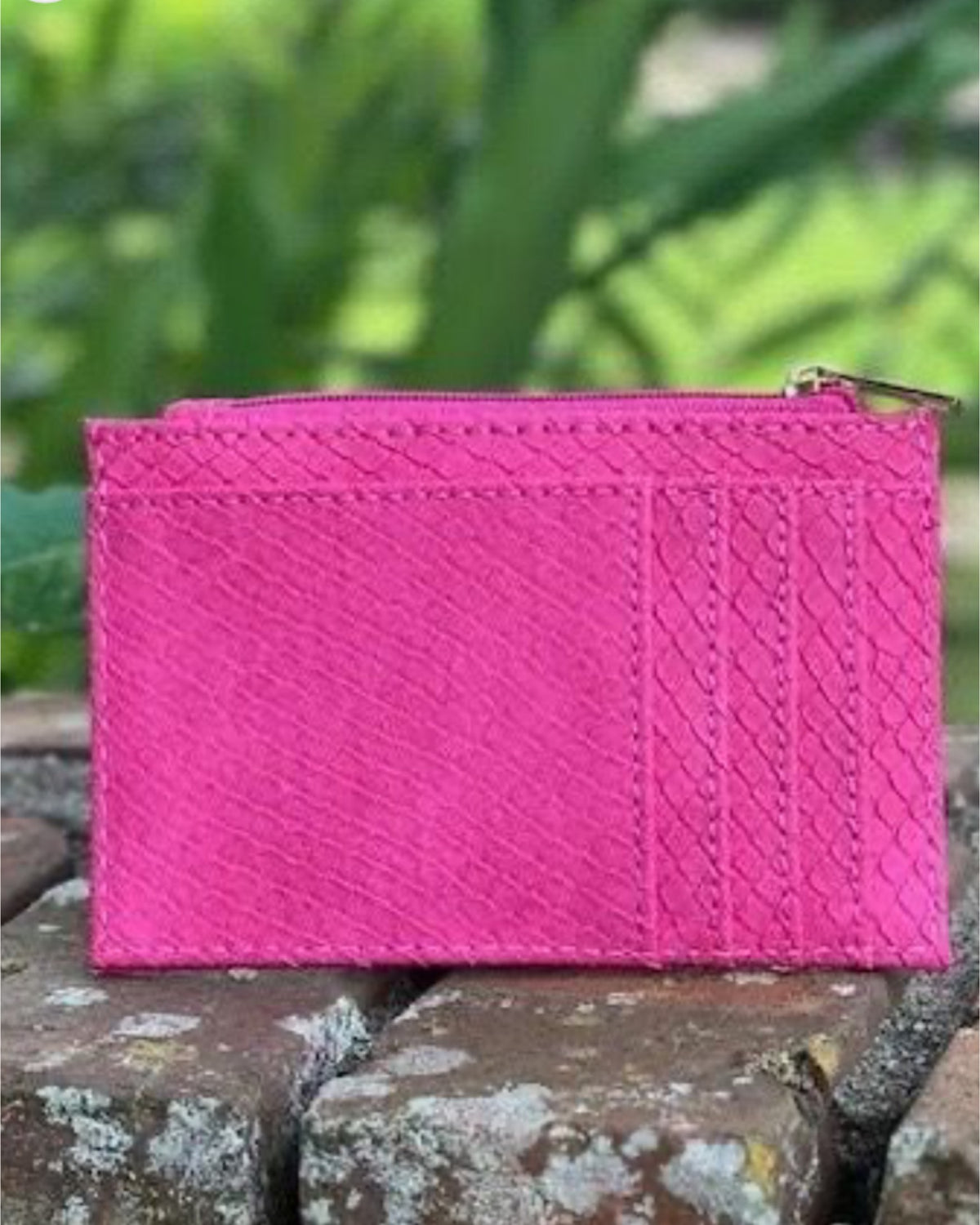 Molly Zip Card Holder