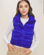 Holiday Cheer Vest